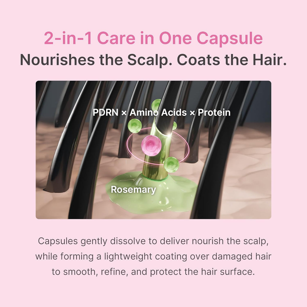 Medicube Rosemary PDRN Full Scalp Care Set of 3 (Shampoo, Conditioner, Scalp serum)