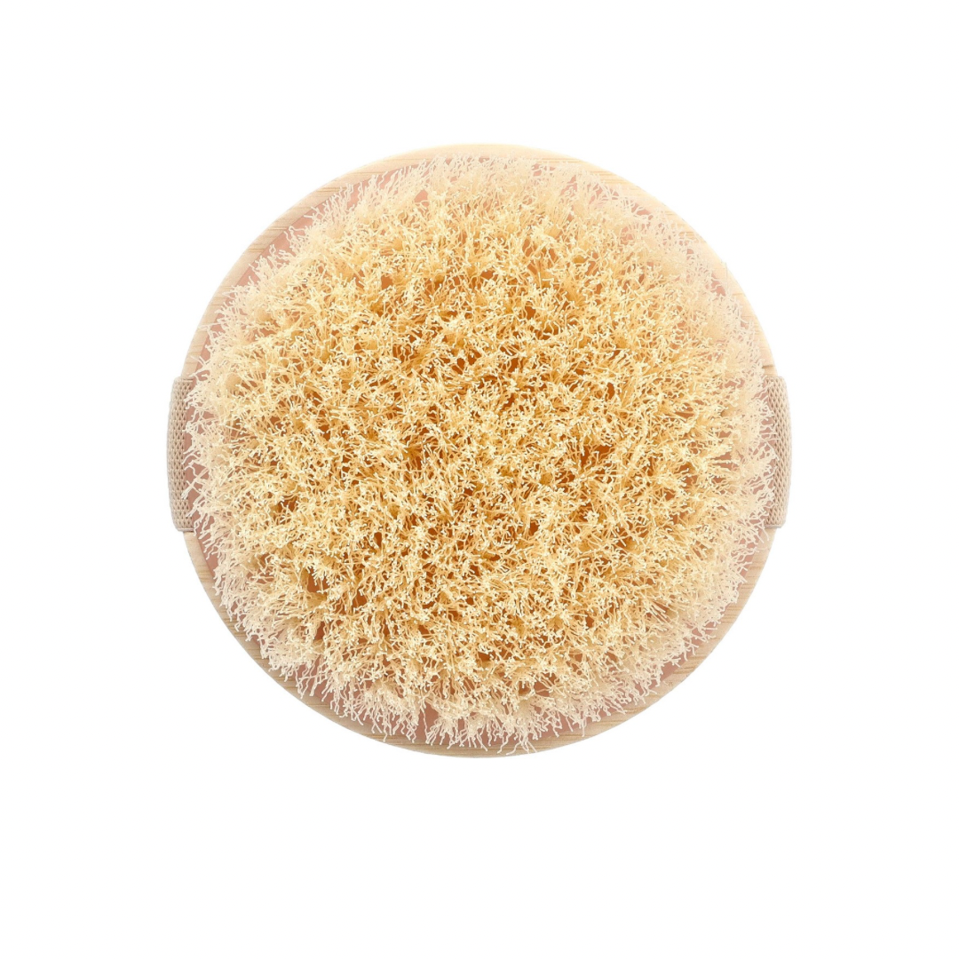 EcoTools Body Dry Brush 1 Brush