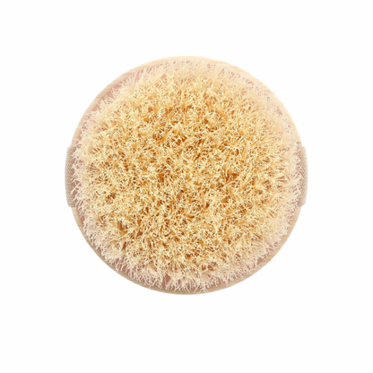 EcoTools Body Dry Brush 1 Brush