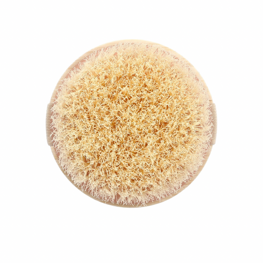 EcoTools Body Dry Brush 1 Brush