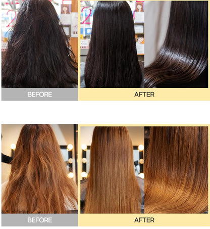 مجموعة تغذية الشعر الكاملة للشعر الجاف والتالف مع الكيراتين والبروتين الممتاز (4 قطع) 