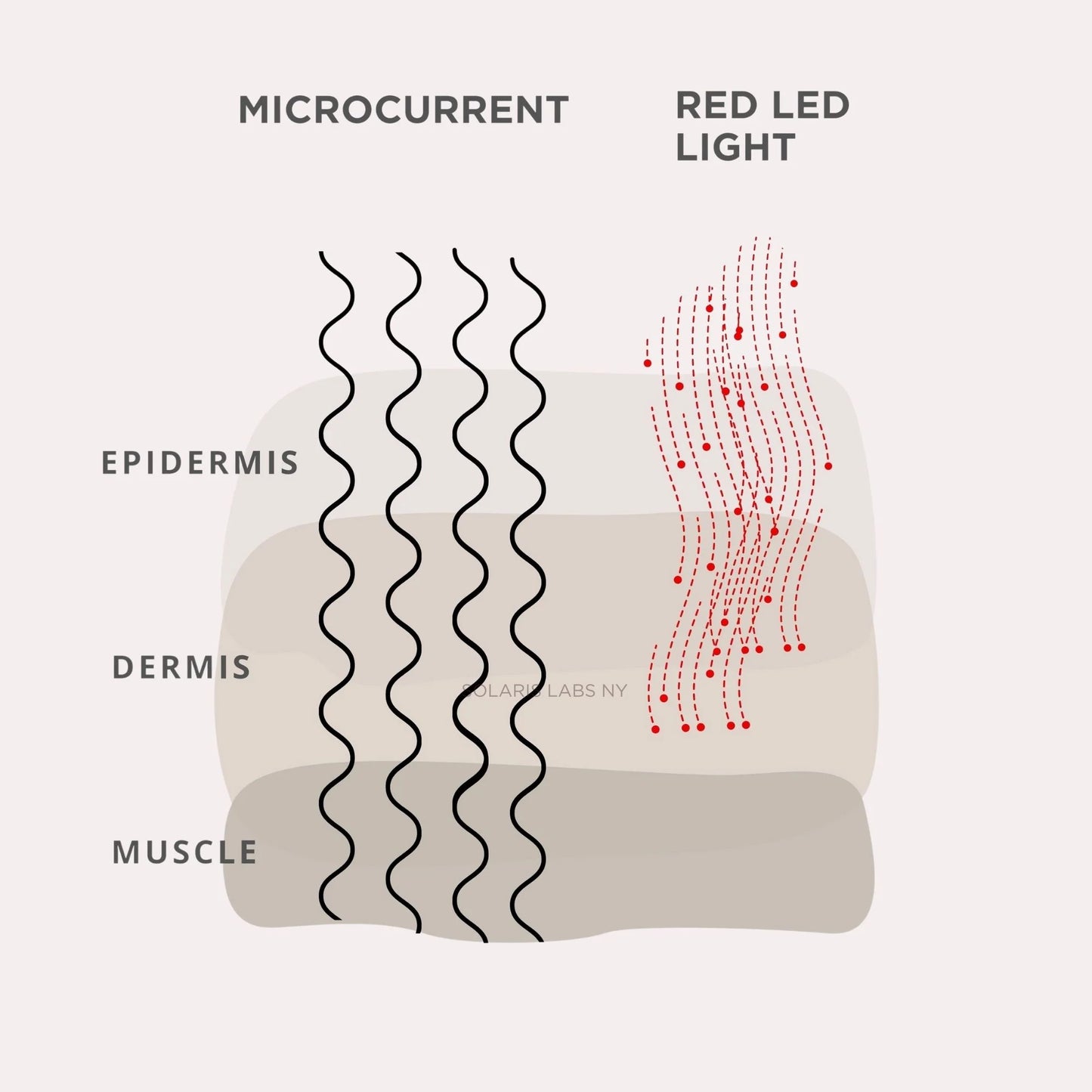 SLBNY Microcurrent Red Led Face & Neck Massager