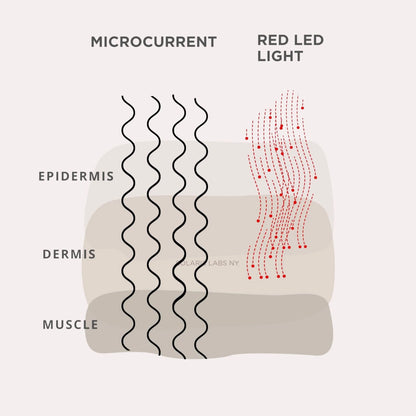 SLBNY Microcurrent Red Led Face & Neck Massager