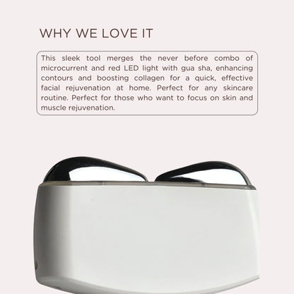 SLBNY Microcurrent Red Led Face & Neck Massager