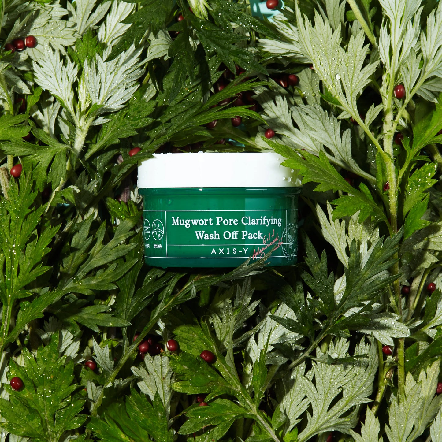 Axis–Y Mugwort Pore Clarifying Wash Off Pack 50ml